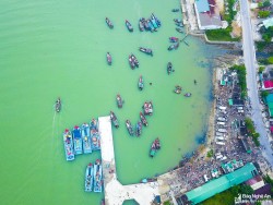 Gần 63 nghìn tấn thủy sản qua hệ thống cảng cá ở Nghệ An