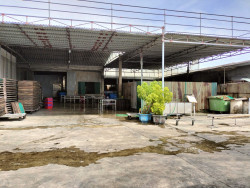 Các cơ sở chế biến thủy sản trên địa bàn Cảng cá Lạch Vạn gặp nhiều khó khăn