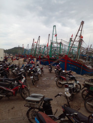 Thông báo kết luận của đồng chí Nguyễn Văn Đệ, Phó Chủ tịch UBND tỉnh tại cuộc họp Ban Chỉ đạo cấp tỉnh về chống khai thác hải sản bất hợp pháp, không báo cáo và không theo quy định