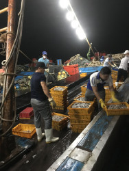 Báo cáo kết quả triển khai nhiệm vụ chống khai thác IUU 02/2023