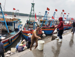 Hình ảnh: Tàu thuyền tấp nập cập cảng cá Lạch Vạn bốc dỡ thủy sản trong những ngày đầu năm 2023