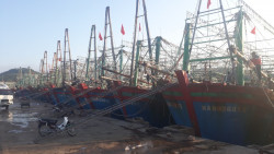 Hình ảnh: Tàu của người dân huyện Quỳnh Lưu đang cập cảng cá Lạch Quèn