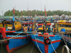 Nghệ An cấm tất cả các loại tàu thuyền và phương tiện vận tải ra khơi để ứng phó bão số 3