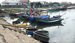 Nghệ An: Nâng cấp cảng cá, khu neo đậu tàu thuyền cần thực hiện theo Nghị định 80