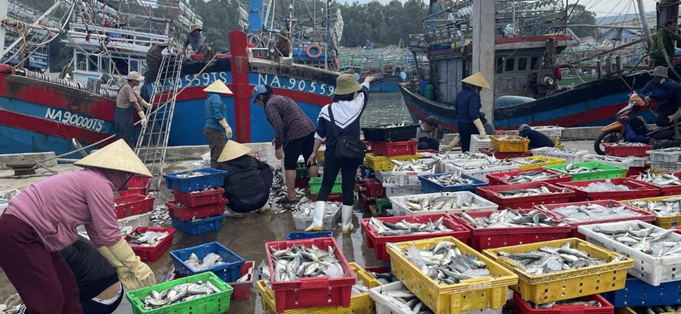 Tuyên truyền nâng cao kiến thức phòng, chống ma túy cho người dân và ngư dân tại các cảng cá