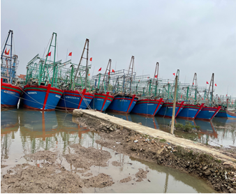 Nghệ An: Triển khai đồng bộ các Kết luận của Phó Thủ tướng Chính phủ về chống khai thác IUU