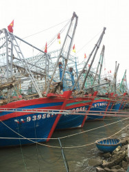 ĐĂNG KÝ TÀU CÁ, THỦ TỤC ĐĂNG KÝ TÀU CÁ