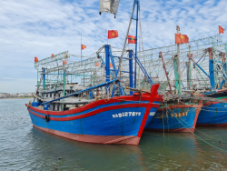 BÁO CÁO Kết quả triển khai nhiệm vụ chống khai thác hải sản bất hợp pháp, không báo cáo và không theo quy định tháng 11/2023