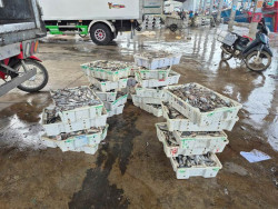 NGƯ TRƯỜNG THAY ĐỔI, NGƯ DÂN KHỐN ĐỐN