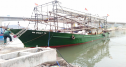Hướng dẫn thực hiện Biện pháp bảo tồn và quản lý nghề lưới vây,  nghề câu vàng để bảo vệ cá voi và các loài động vật có vú  ở vùng biển Việt Nam