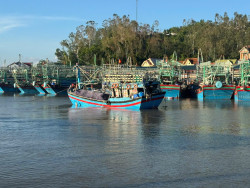 Tiếp tục thực hiện các hoạt động phối hợp về bảo vệ động vật hoang dã,  bảo tồn đa dạng sinh học và nguồn lợi thuỷ sản