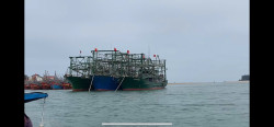 Thực hiện quản lý tàu cá không đủ điều kiện hoạt động trên địa bàn tỉnh Nghệ An