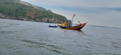 Tiếp tục thực hiện các hoạt động phối hợp về bảo vệ động vật hoang dã, bảo tồn đa dạng sinh học và nguồn lợi thủy sản
