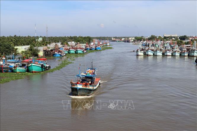 Tàu cá của ngư dân neo đậu trên sông Cái Bé thuộc địa bàn huyện Châu Thành (Kiên Giang). Ảnh: Lê Huy Hải/TTXVN